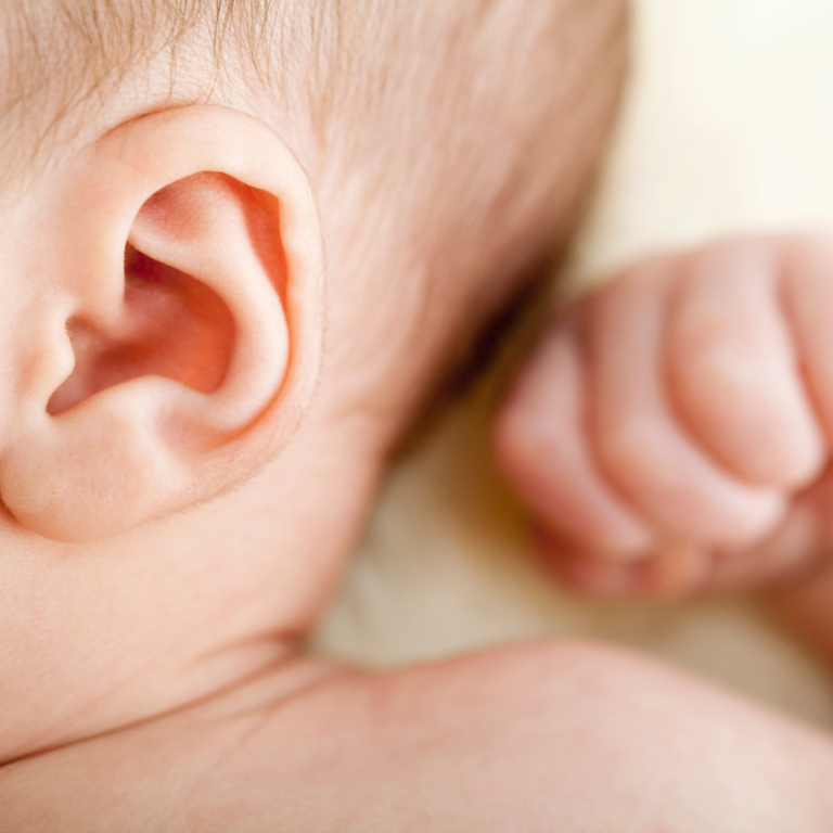 ROZWÓJ NARZĄDU SŁUCHU